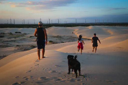Caminhos da Felicidade