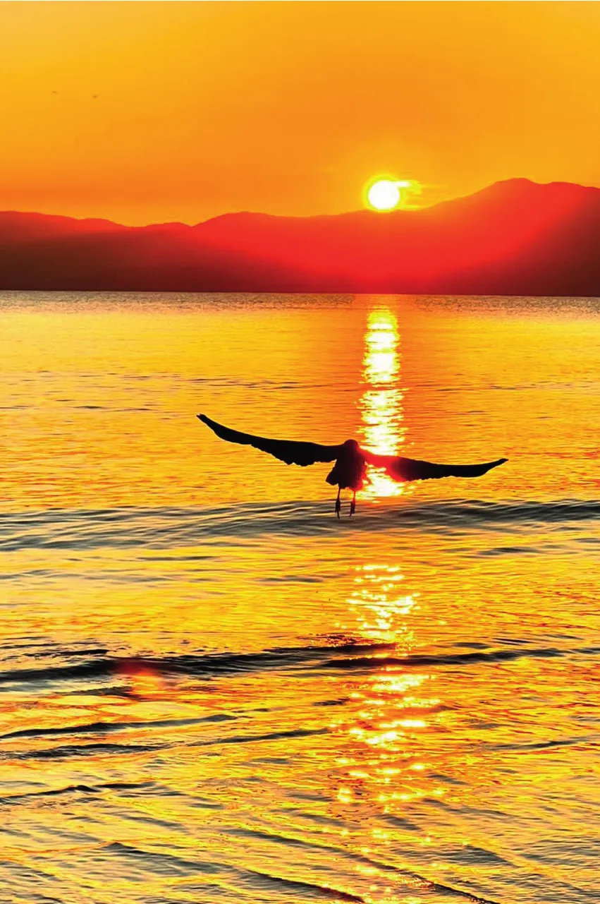 Contemplando a liberdade