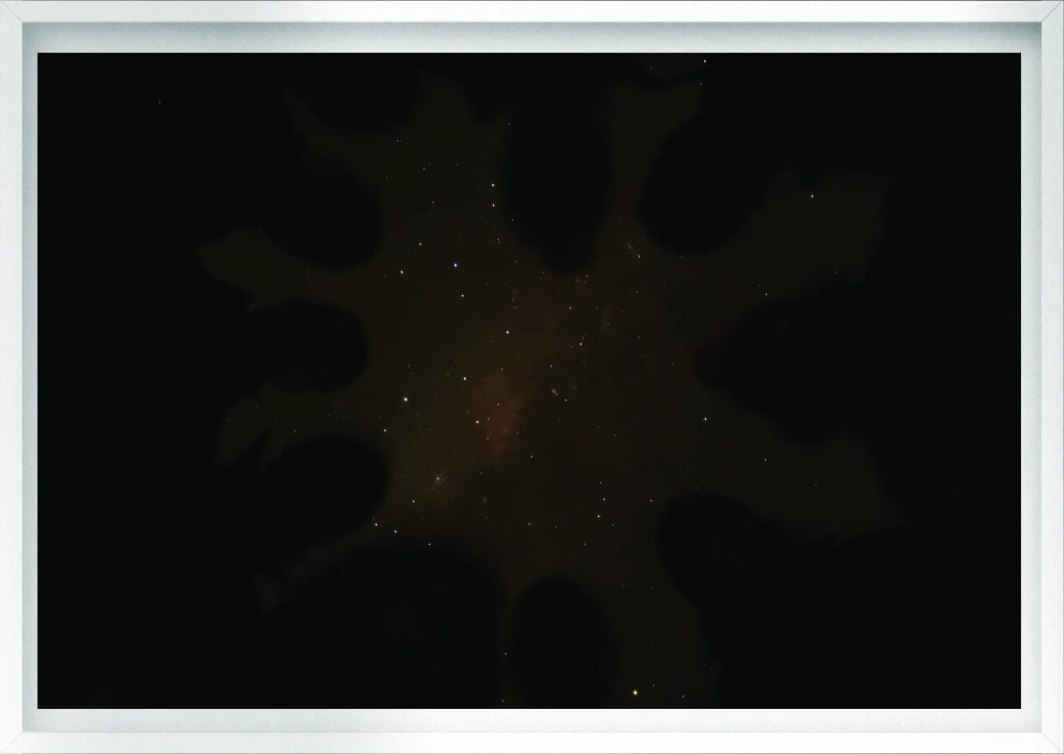 Filósofos do Universo
