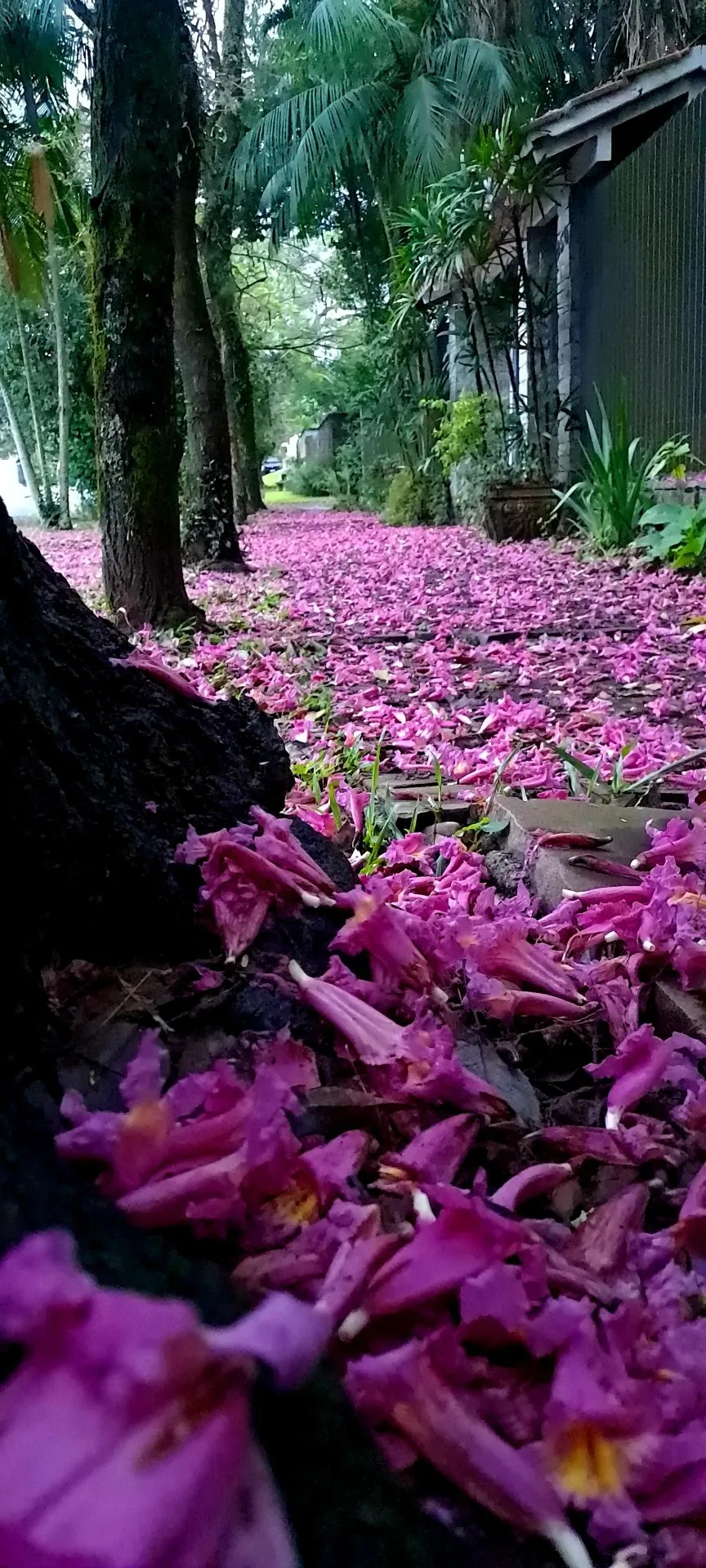 Foto de Ricardo Jose Choma